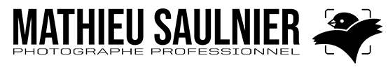 Mathieu Saulnier Photographe